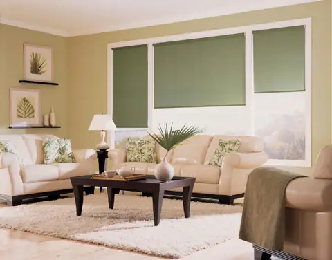 Roller Shades photo 3 of 19