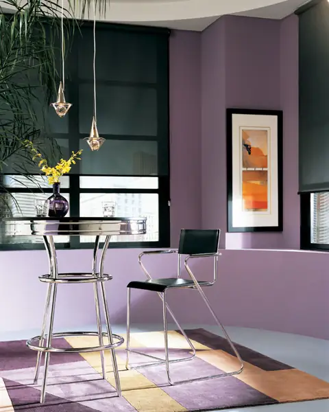 Roller Shades photo 5 of 19