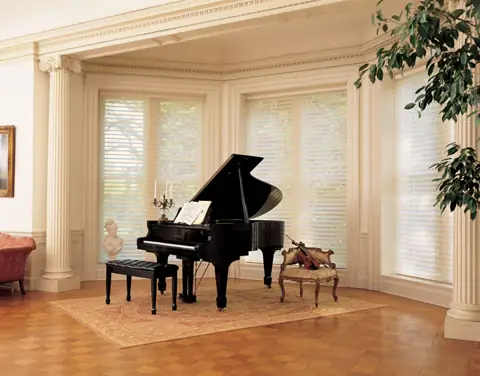 Window Shadings photo 8 of 34