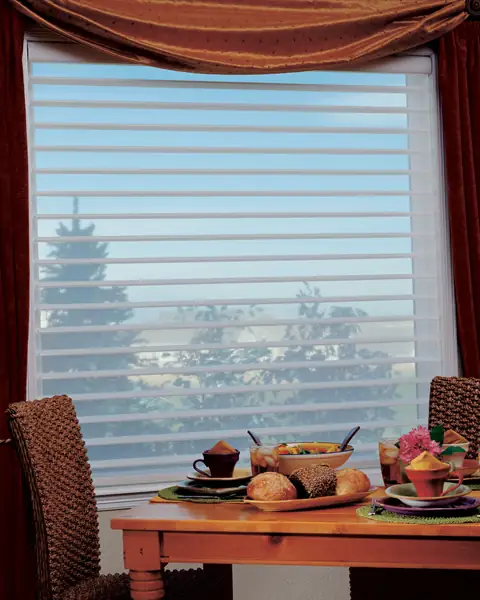 Window Shadings photo 20 of 34