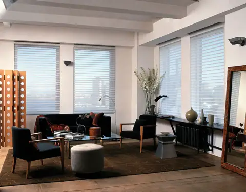 Window Shadings photo 22 of 34