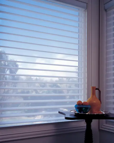 Window Shadings photo 34 of 34